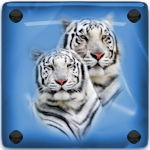 Avatar du membre