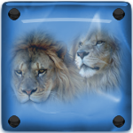 Avatar du membre