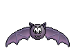 chauve souris