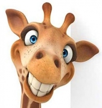 Avatar du membre