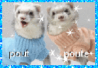 Avatar du membre