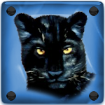 Avatar du membre