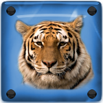 Avatar du membre