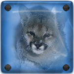 Avatar du membre