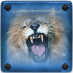 Avatar du membre